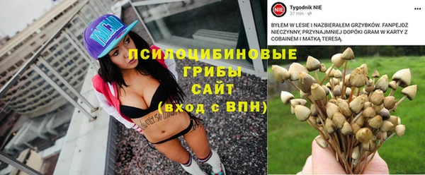 бошки Верхнеуральск