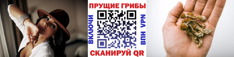 Галлюциногенные грибы GOLDEN TEACHER  Электросталь 